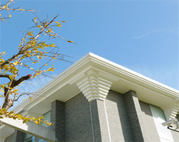 �����W(w��ng)վ���O(sh��)��˾�������t(y��)ˎ��W(xu��)